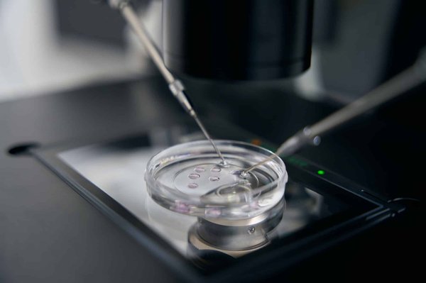 les démarches pour obtenir une autorisation spécifique pour une activité réglementée